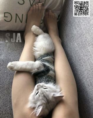 吴秀妍_剧情片在线播放